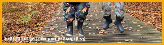 Herfstkriebels & herfstkleuren: het seizoen van verandering