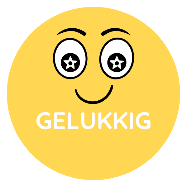Kleur je Humeur mapje – Complete magnetenset voor thuis of 1-op-1 gebruik