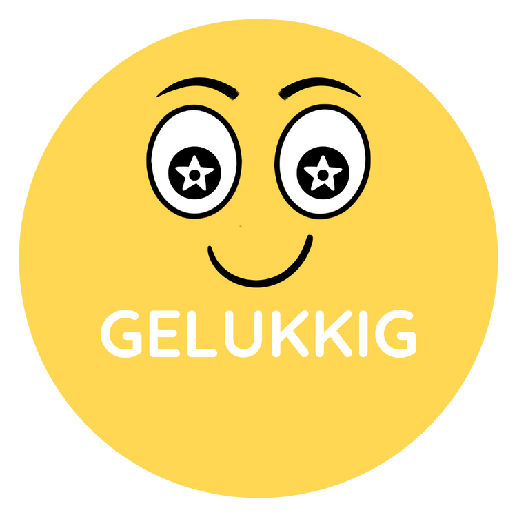Kleur je Humeur mapje – Complete magnetenset voor thuis of 1-op-1 gebruik