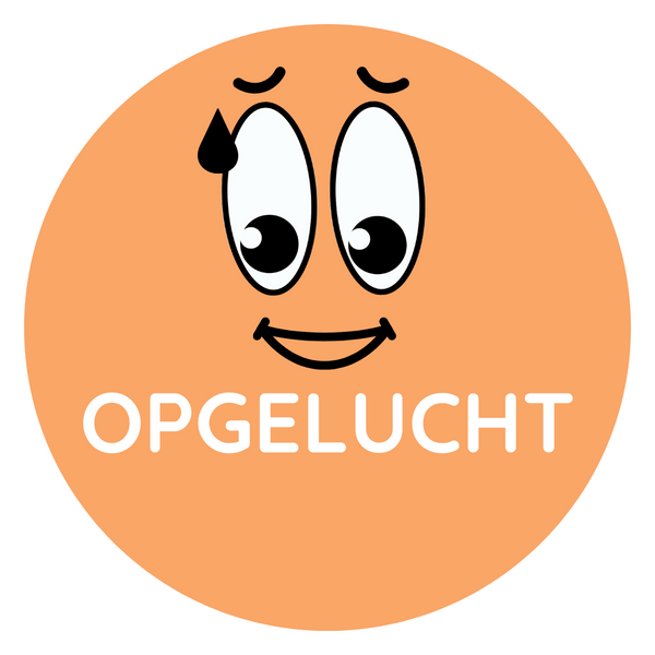Kleur je Humeur mapje – Complete magnetenset voor thuis of 1-op-1 gebruik